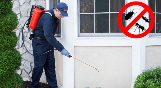 Marmaris Gümüşkurt İlaçlama böcek ilaçlama ve haşere kontrolü — ilaclama-tr.com